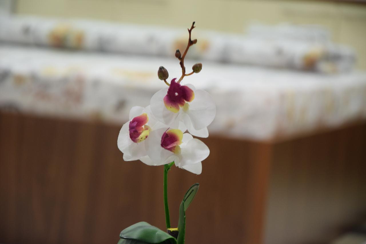 Guest House Agropapuk Šid エクステリア 写真